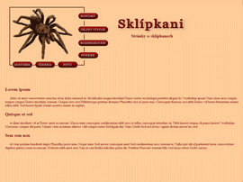 skl�pkani